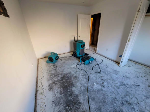 Best Commercial water damage restoration  in Pleasant Valley, MO