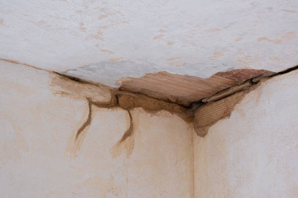Best Water damage mitigation services  in Pleasant Valley, MO