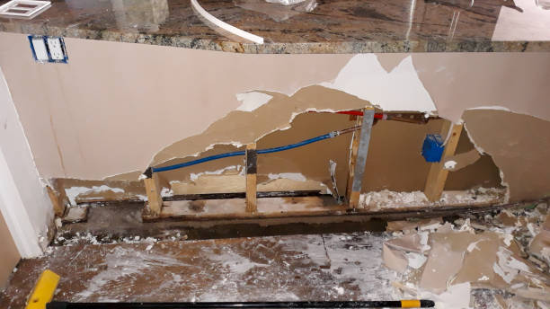 Best Water damage restoration experts  in Pleasant Valley, MO