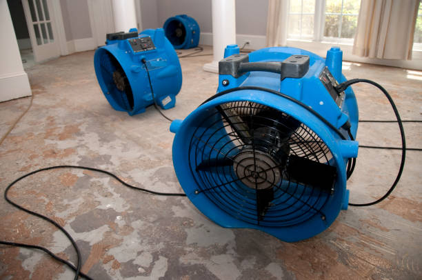 Best 24-hour water damage restoration  in Pleasant Valley, MO