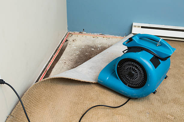 Best Water damage cleanup near me  in Pleasant Valley, MO